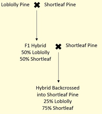 Figure1.jpg