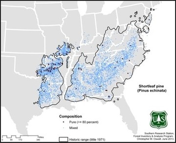 2013 FIA Data - Chris Oswalt, USFS