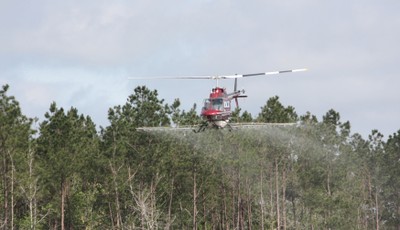 Herbicide--Acorn-Forestry.jpg