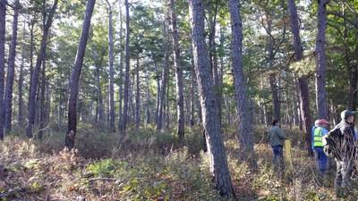 Holly - 2017 Shortleaf Conf - New Jersey (6)