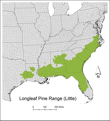 longleafRange_2