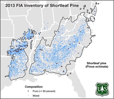 2013 FIA Data-Chris Oswalt, USFS.jpg