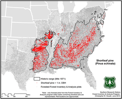 shortleaf fia distribution