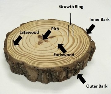 figure-2.jpg